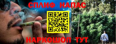 эйфоретик Кингисепп