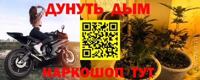крисы Кинель