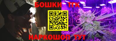 эйфоретик Кингисепп