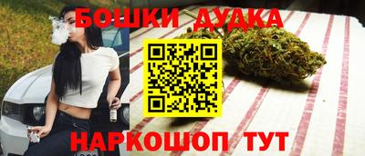 эйфоретик Кингисепп