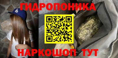 крисы Кинель