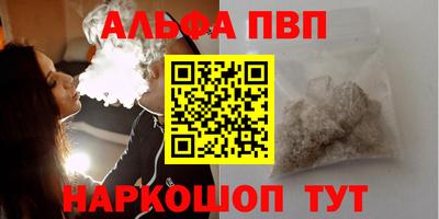 эйфоретик Кингисепп