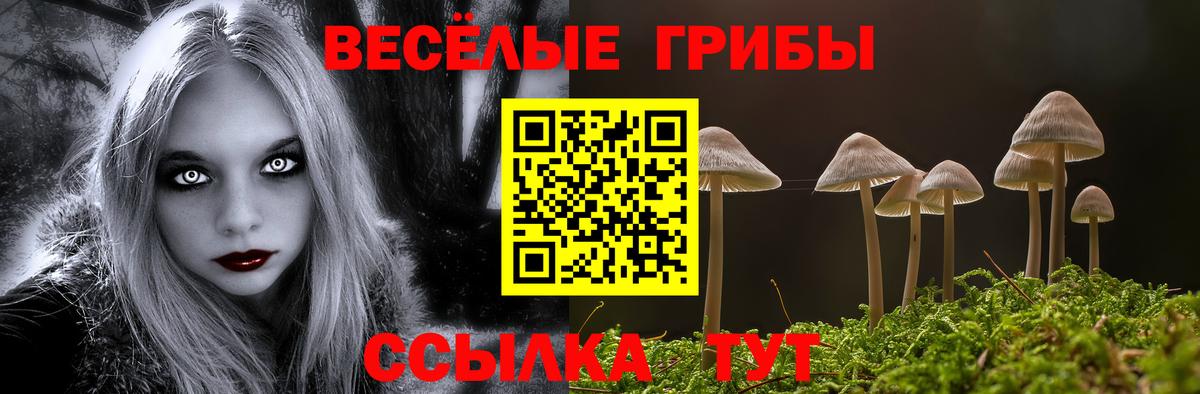 Псилоцибиновые грибы Magic Shrooms  Псилоцибиновые грибы Magic Shrooms  наркошоп  Вход с VPN  Красный Сулин 